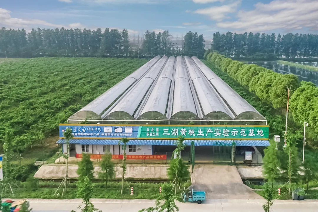 中科美利水肥一体化设备应用案例