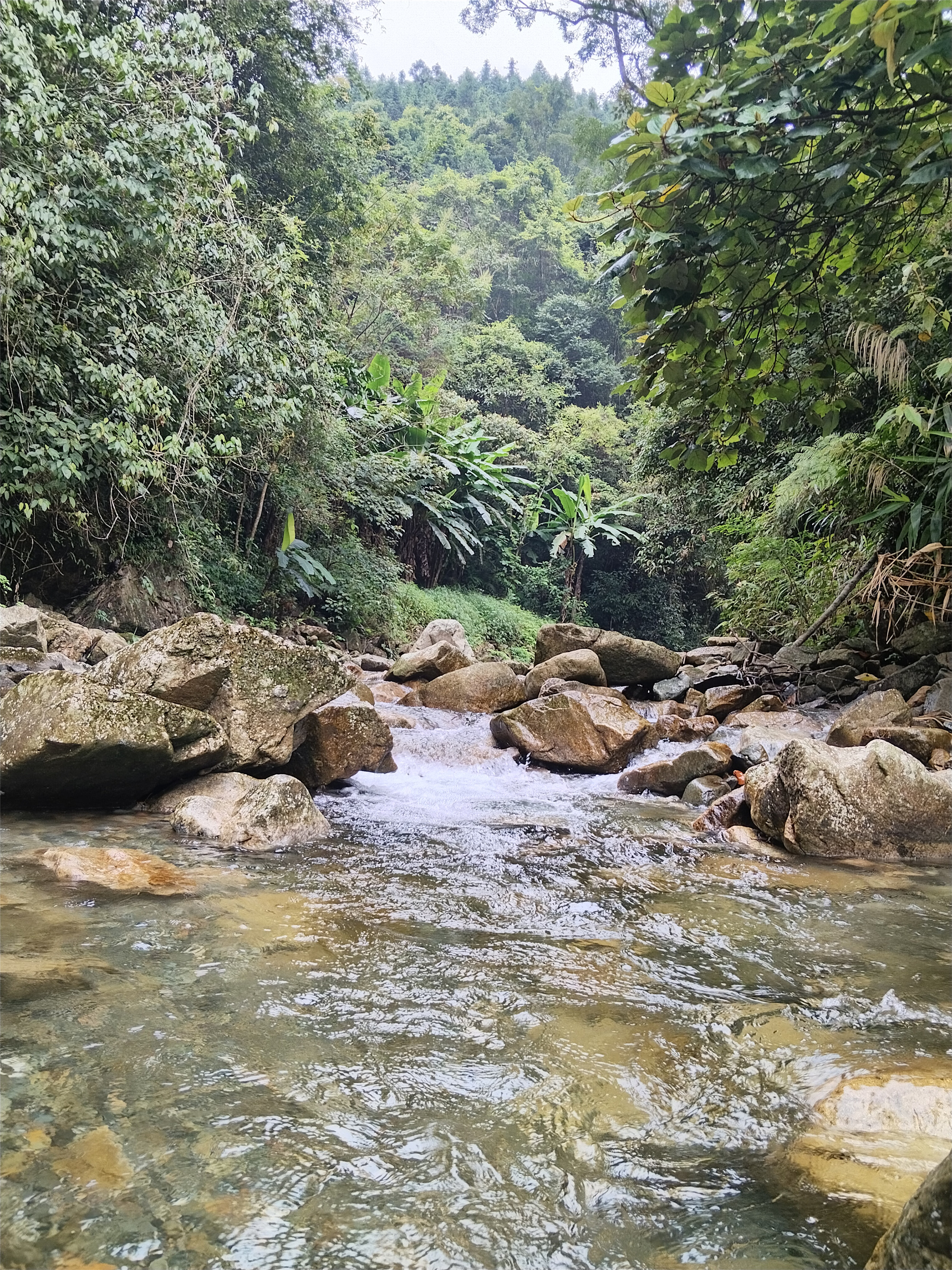 山泉水.jpeg 山泉水2.jpeg
