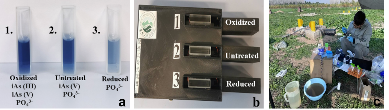 水砷筛查和形态分析技术